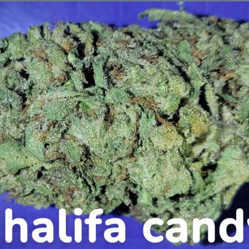 cannabis dispensary product selection