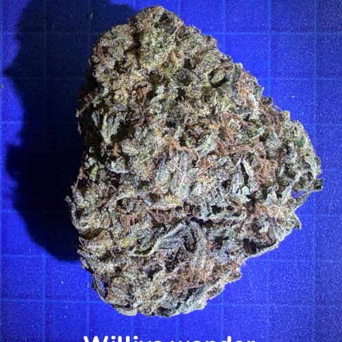 cannabis bud in jar