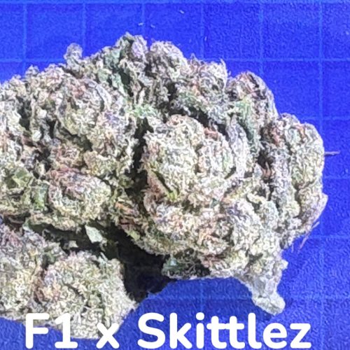 cannabis dispensary product photo
