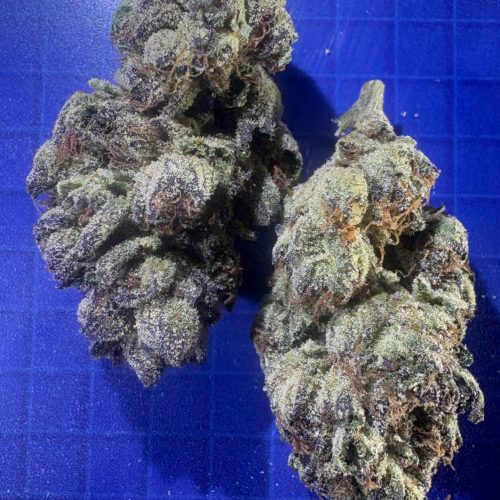 premium cannabis bud closeup