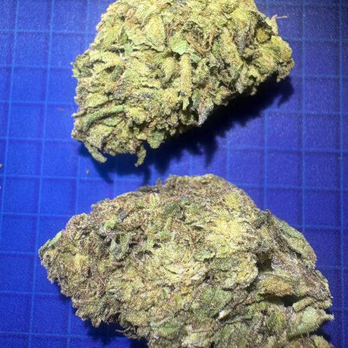 Chemdawg cannabis strain flower